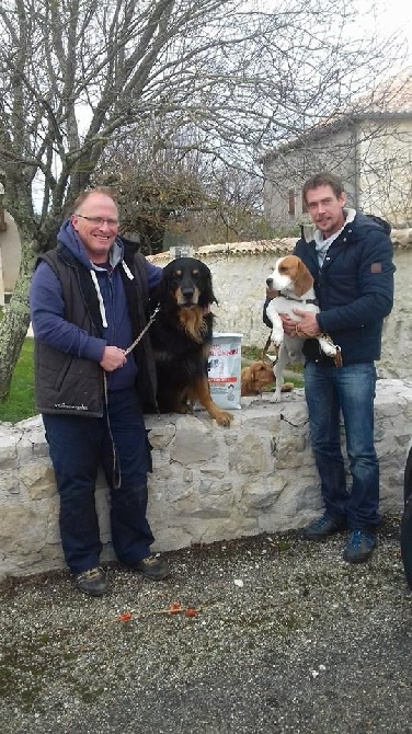 Des Etoiles Sacrees Du Sud - Dimanche 11 décembre 2016 concours Cavage à Labastide-Marnhac 